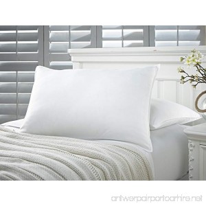 Amrapur Overseas | Down Alternative Microfiber Pillows 2 Pack (White Standard) - B00ZRYYFLY