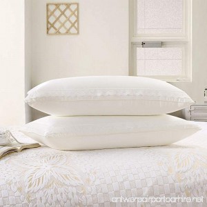 AMZ Original Bed Pillows for Sleeping Super Plush Antimicrobial Cellulose Fiber Bed Pillow with Lace Edgings Design Neck Pain Relief (2 Pack) - B075D4YX7C