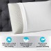 Beautyrest Latex Foam Pillow (Standard 2 Pack) - B0796KYSL4