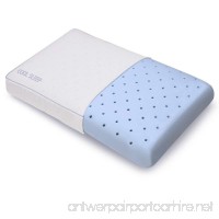 Classic Brands Cool Sleep Ventilated Gel Memory Foam Gusseted Pillow with Performance Cool Pass Cover  King - B00PLM47OW