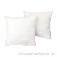 Cozy Bed European Sleep Pillow(set of 2)  White  26" H X 26" W X 4" D - B01LT6CR68