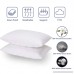 downluxe Set of 2 Quilted Down and Feather Pillows for sleeping (King 20x36) 100% Cotton Cover with ULTRA FRESH Treatment Dust Mite Resistant & Hypoallergenic - Suprior Quality Bed Pillows by - B06WVCXRSF