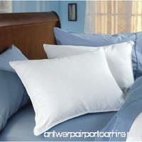 Envirosleep Dream Surrender Queen Pillow Set. (2 Pillows) - B078GJR8L4