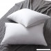 L LOVSOUL Set of 2 White Goose Down and Feather Bed Pillows - Triple Chambers Design 1000TC 100% Egyptian Cotton Fabric Standard/Queen Size Soft Pillow - B01LPN0A1E
