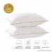 Lofe Adjustable Side Sleeper Pillow Hotel Collection - Goose Down Alternative Pillow 2 pack - Hypoallergenic Hospital Bunk Bed Pillow for Stomach Sleeping Queen Size (Dot White) - B0795DP8RC