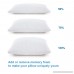 Oaskys Memory Foam Pillow Queen Size Cooling with Removable Washable Bamboo Bed Pillow Cover Hypoallergenic Dust Mite Resistant and Luxury for Hotel - B07DK9RS18