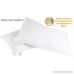 Olivia Luxury White Plush Gel Bed Pillows - (Queen 2-Pack) – Best for Soft Ergonomic Comfortable Sleeping – Hypoallergenic Set - Dust Resistant Covers and Filler – Bonus 2-Pillowcases - B07FBQ38SY