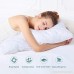 Pillows for Sleeping Goose Down Alternative Quilted Bed Pillow 2 Pack FDA Registered Super Soft Plush Fiber Fill Adjustable Loft Relief for Neck Pain Hypoallergenic by Sable Queen Size - B071NFFQ3P
