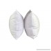 Pillowtex ® Hotel Feather and Down Standard Size Pillow Set (Includes 2 Standard Size Pillows) - B009KS41RQ