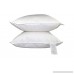 Pillowtex ® Hotel Feather and Down Standard Size Pillow Set (Includes 2 Standard Size Pillows) - B009KS41RQ