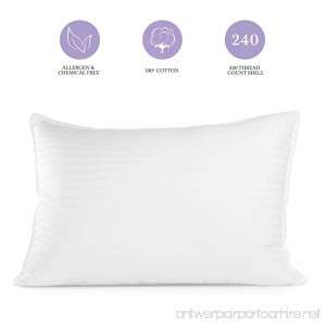 Pur-Dream Sleep Cool Gel Pillow with Hypoallergenic Cooling Gel Fiber Goose Down Alternative for Home and Hotel – Queen (2) - B07CMJ12WK