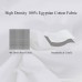 Queen/Standard Bed Pillow for Sleeping White Goose feather Pillow with 600 Thread Count 100% Egyptian Cotton Cover Premium & Hypoallergenic Feather Pillows Queen Size 20x28 inches (White 1 Pack) - B07BX3TPKY