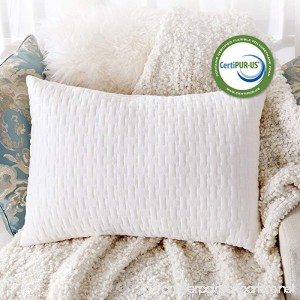 Sable Shredded Memory Foam Pillow for Sleeping Side Sleepers CertiPUR-US & FDA Registered Hypoallergenic w/Thickened Bamboo Pillowcase for Home & Hotel Collection Neck Pain Relief Queen Size - B074Q9DMHR