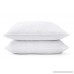 Sleep Innovations Two Pack Gel Memory Foam Pillow White - B07F3XDG1S