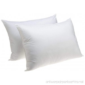 Standard Size Bedding Pillow Hypoallergenic Jumbo Sham Stuffer Pillow Set of 2 - B075MSWKCC