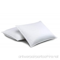 Standard Textile Chamberloft Down Pillow Set of 2 King (20x36 inches) - B074WBD3M6