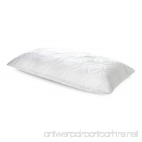 Tempur-Pedic TEMPUR-Cloud Soft & Conforming Pillow  Queen - B07526M3RM