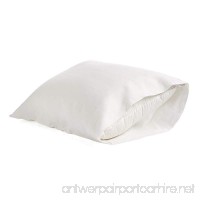 DAPU Pure Stone Washed Linen Pillowcases 1 pair Woven from 100% Fine French Natural Flax(White Standard) - B07D9LMLPR