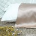 SILKFARMER Natural Silk Pillowcase Hypoallergenic 19 momme 100 Mulberry Silk with Hidden Zipper Standard 20x26 inch Coffee - B0714NB7SL