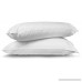 Utopia Bedding Premium Cotton Zippered Pillow Cases - 2 Pack (King White) - Elegant Double Hemmed Stitched Pillow Encasement - B01MYDNICD