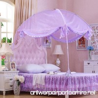 CdyBox Princess Mosquito Net Bed Tent Canopy Curtains Netting with Stand Fits Twin Full Queen(Full/Queen Purple) - B01EUW66E2