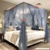 Joyreap Mosquito Bed Canopy Net - Luxury Canopy netting - 4 Corners Post Bed Canopies - Princess Style Bedroom Decoration for Adults &Girls - for Twin/Full/Queen/King (Grey-Blue 59 W x 78 L) - B07CSP1TP9