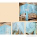 Mengersi Princess Four Corner Post Bed Canopy Mosquito Net (Queen Sky Blue) - B07BLVN8XG