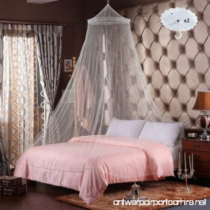 RETON 2 Pcs Jumbo Mosquito Net Elegant Lace Bed Canopy with 2 Hooks Queen Size White - B07BHJS6FB