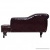 Giantex Chaise Lounge Sofa w/ Nail Head Back Sofa Chair for Bedroom Living Room Furniture Home Fainting Sofa Couch Brown - B0759X867R