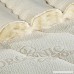 PlushBeds Botanical Bliss Organic Latex Mattress Queen 12” Medium-Firm Pure Wool Organic Cotton - B01L1SN312