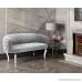 Tov Furniture The Adina Collection Contemporary Living Room Velvet Upholstered Loveseat Grey with Silver Legs - B06XJLD4D7