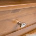 Simpli Home Warm Shaker Solid Wood Coffee Table Honey Brown - B00839JKJM