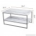 Tilly Lin 2 Tier Faux Marble Coffee Table Water Resistant Accent Cocktail table with Lower Storage Shelf Carrara - B075QBC782