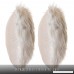 Faux Fur Throw Pillow 18x18 With Insert (2 PACK) Mongolian Long Hair White - B076M9P7BR