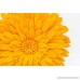 Fennco Styles 3D Sunflower Decorative Throw Pillow 13 Round (Gold Case+Insert) - B07C7J5VR6