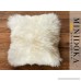 New Zealand Sheepskin Ivory Pillow - 14 x 14 - Luxuriously Soft Unshorn Wool - Stuffed and Ready for Use - B018MDGCIA
