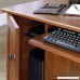 Sauder Computer Desk Brushed Maple Finish - B004G7RN1C