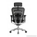 Eurotech Seating Ergo Elite ME22ERGLT High Back Chair Black - B01N30DWAV