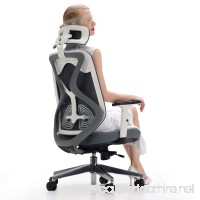 Hbada Ergonomic Office Mesh Chair with Adjustable Lumbar Support  Seat Cushion  Headrest and Armrest - B07DFWBJ9F