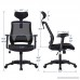 LONGEM Ergonomic Office Chair High Back Mesh Computer Desk Chair with Adjustable Headrest and Armrests Bulit-in Lumbar Support Executive Task Chair Black - B07C2XH6W5