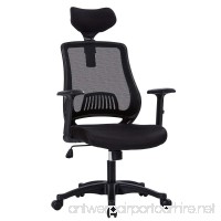 LONGEM Ergonomic Office Chair  High Back Mesh Computer Desk Chair with Adjustable Headrest and Armrests  Bulit-in Lumbar Support Executive Task Chair Black - B07C2XH6W5