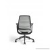 Steelcase 435A00 Series 1 Work Chair Office Nickel - B078HDP8NY