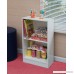 Niche PBC1629WH Mod 2 Shelf Bookcase White Wood Grain - B078H4FNWT