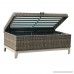 Orange Casual Aluminum Frame Resin Wicker Storage Bench With Tea Table Function Gray Rattan and Blue Cushion - B07F2WTJ4D