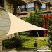 LyShade 16'5 x 16'5 x 16'5 Triangle Sun Shade Sail Canopy (Cadet Blue) - UV Block for Patio and Outdoor - B01N75CSM4
