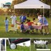 Eurmax 10x10 Ez Pop Up Canopy Outdoor Canopy Instant Tent with 4 zipper Sidewalls and Roller Bag Bouns 4 weight bags - B00K67AMQY
