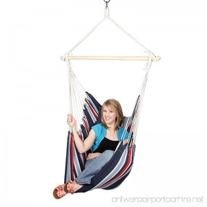 Blue Sky Outdoor Hanging Chair with Two Cushions and Free Hammock Straps - B00N2RP2PG