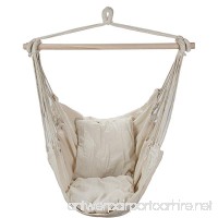 Swing Hanging Hammock Chair With Two Cushions By ARAD - B00PT8X9KQ