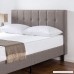 Zinus Upholstered Vertical Detailed Platform Bed in Grey King - B075VB84P3