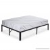 Olee Sleep 14 Inch Tall T-2000 Round Edge Steel Slat/Non-slip Support Bed Frame 14BF08Q - B01K2C2MGK